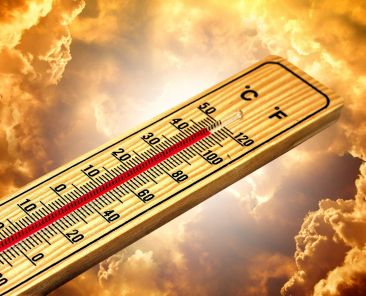 geralt-thermometer-4767445