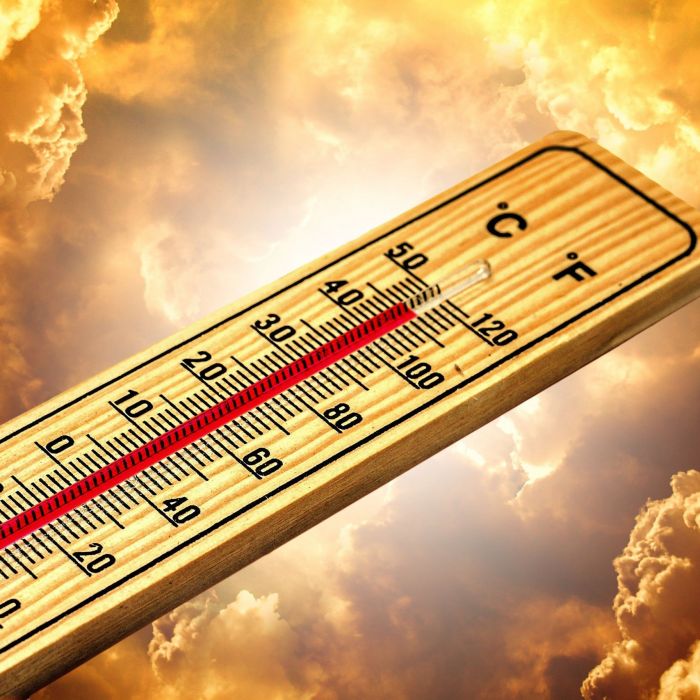 geralt-thermometer-4767445